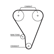 Gates Timing Belt Cambelt 113 Teeth T176RB