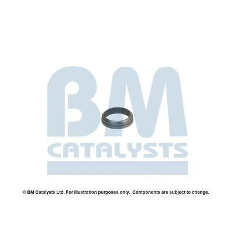 BM Catalysts Fitting Kit FK90187A FK90187A