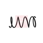 Apec Front Suspension Coil Spring ACS1858