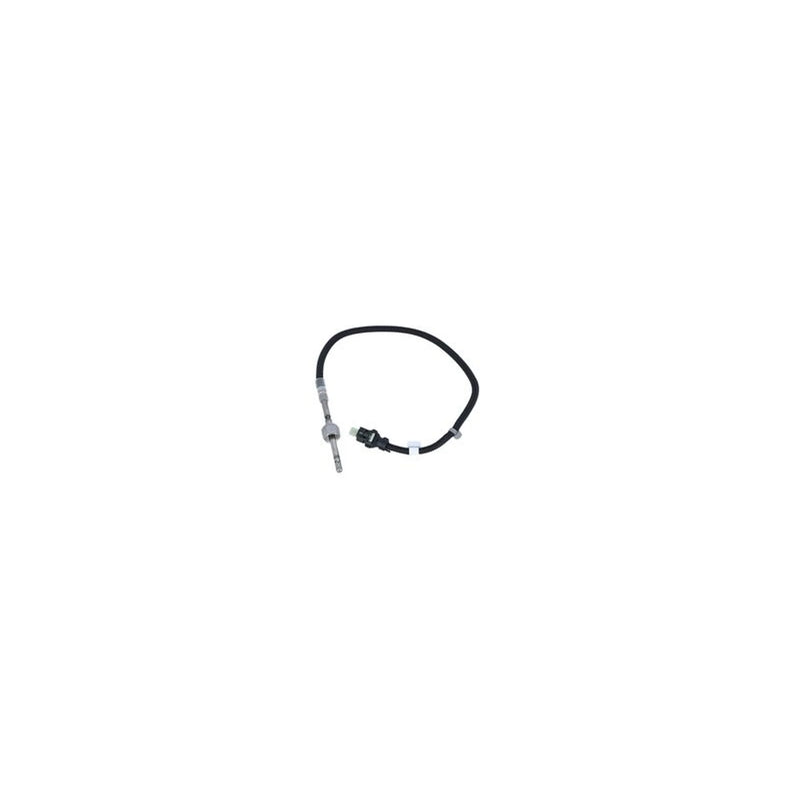 NRF Exhaust Gas Temperature Sensor before soot partic 707164