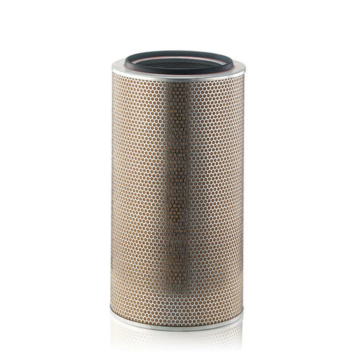 MANN-FILTER Engine Air Filter C 33 920/3 OE 8690940003 A8690940003 05821181