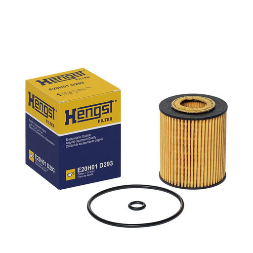 Hengst Engine Oil Filter E20H01 D293