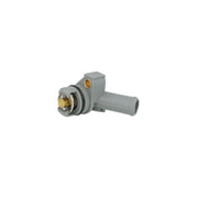NRF Thermostat,Coolant 725382