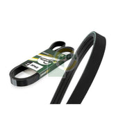 BGA Multi V-Ribbed Drive Belt 3PK790E