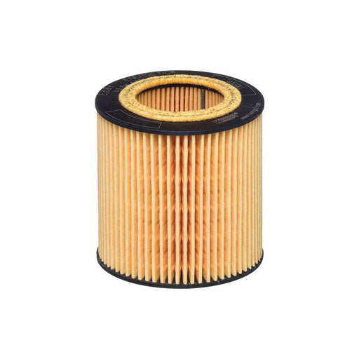Hengst Engine Oil Filter E61H D258