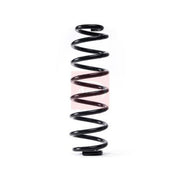 Apec Rear Suspension Coil Spring ACS1729