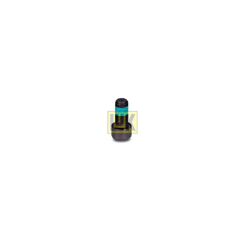LuK Dmf Bolt Fitting Kit 411012110
