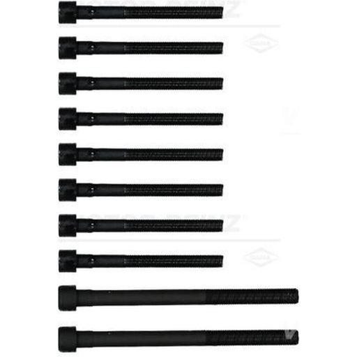 Victor Reinz Cylinder Head Bolt Set 14-55097-01