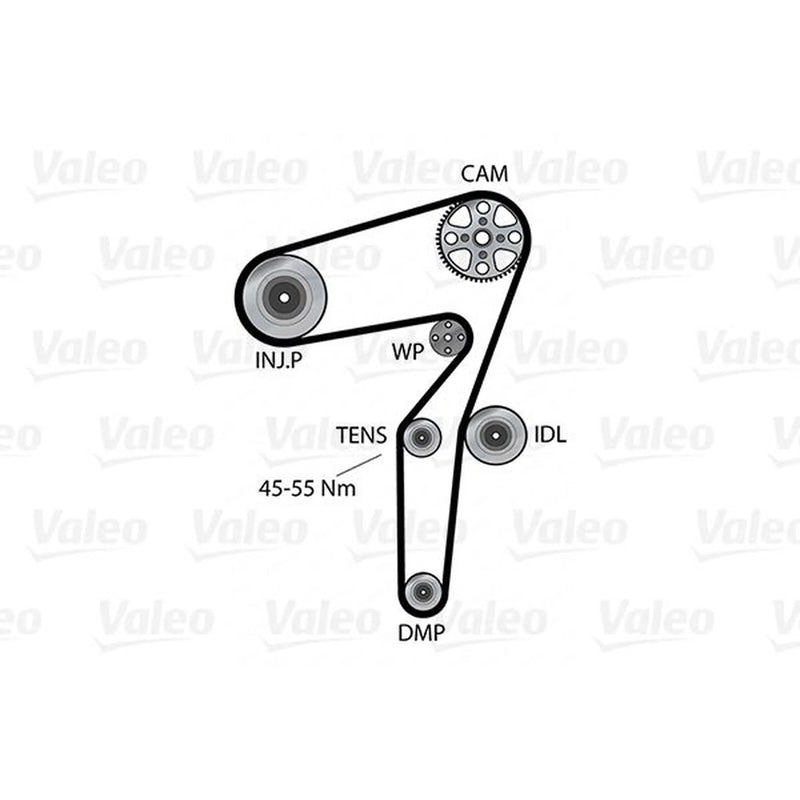 Valeo Timing Belt & Water Pump Kit 614641