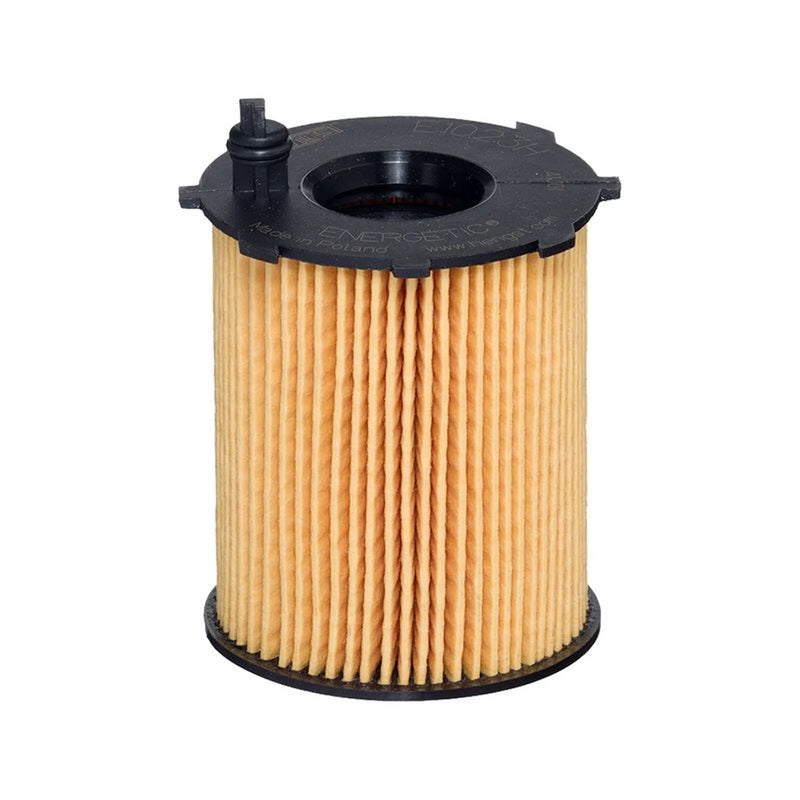 Hengst Engine Oil Filter E1023H D232