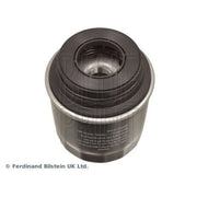 Blue Print Engine Oil Filter ADV182122