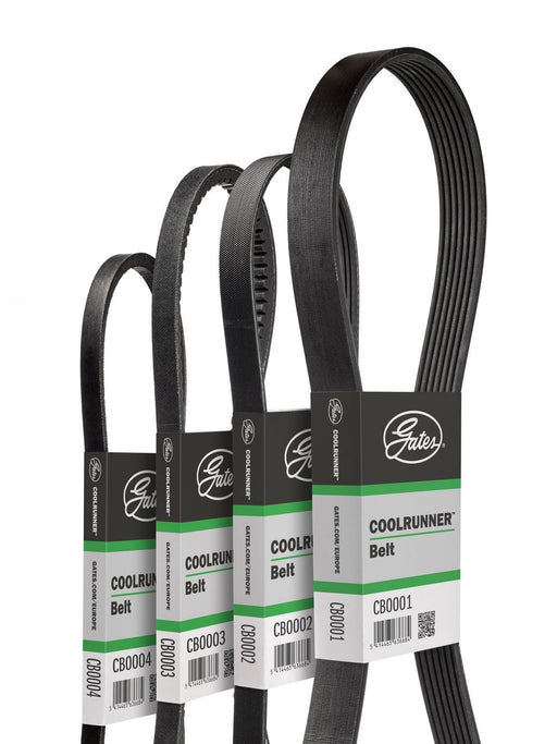 Gates CB0059 V-Belt