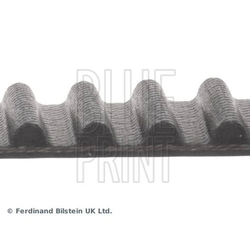 Blue Print Timing Belt Cambelt 110 Teeth ADT37545