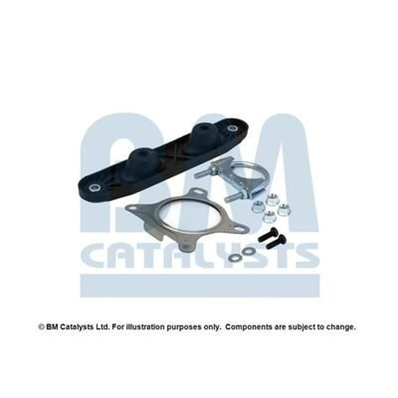 BM Catalysts Fitting Kit FK91929C FK91929C
