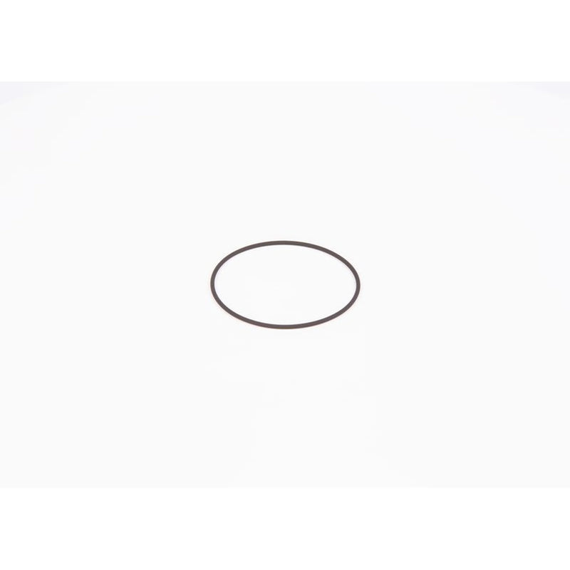 Bosch Sealing Ring Gasket F 01M 100 371