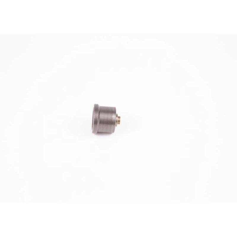 Bosch Engine Control Valve 2 418 554 055