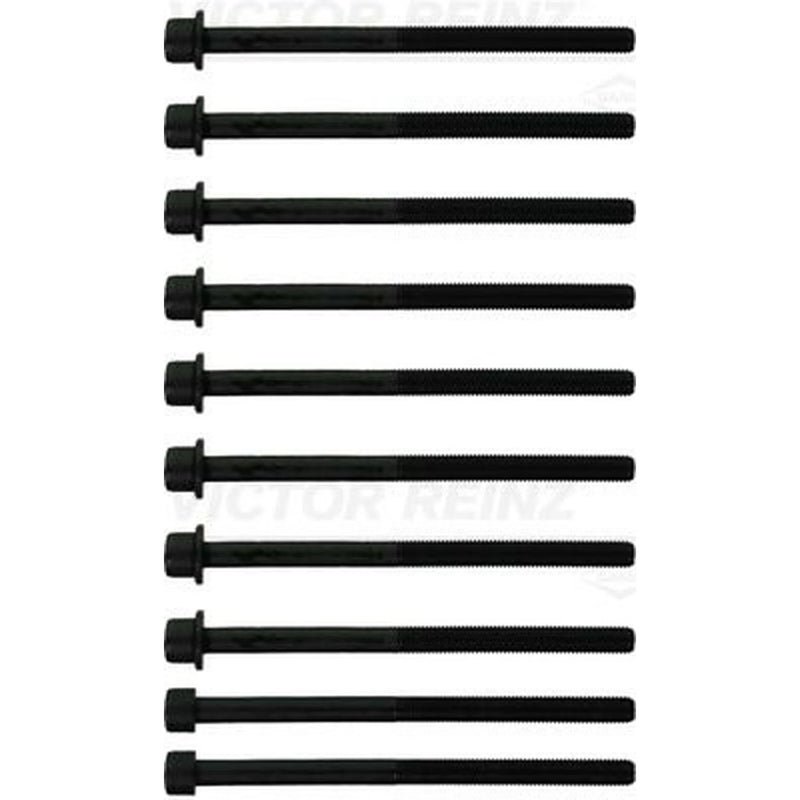 Victor Reinz Cylinder Head Bolt Set 14-10383-01