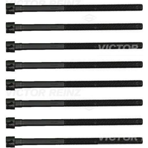 Victor Reinz Cylinder Head Bolt Set M11 14-13082-02