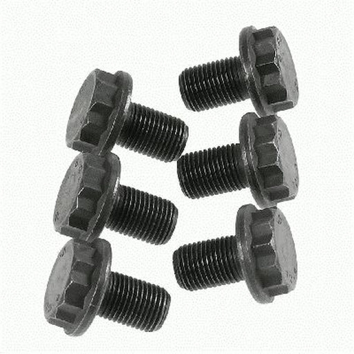 Sachs Dmf Screw Set (Special Order) 1874000033
