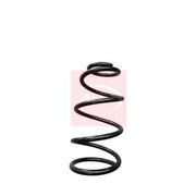 Apec Front Suspension Coil Spring ACS1990