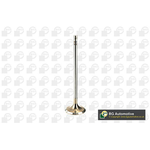 BGA Engine Intake Valve 29mm Head V205096