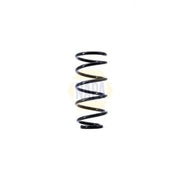 NAPA Rear Suspension Coil Spring NCS1407