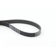 Continental CTAM Multi V-Ribbed Drive Belt 6PK1750