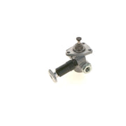 Bosch Fuel Pump Assembly 0 440 008 151
