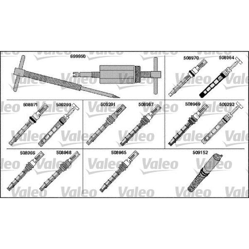 Valeo Expansion Valve Injector Nozzle 699930