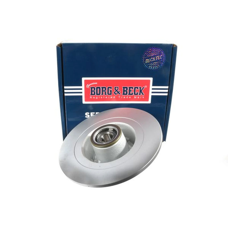 Borg & Beck 2 x Solid Rear Brake Discs BBD6167S