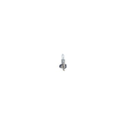 Bosch Automotive Bulb 1 987 301 005