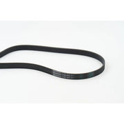 Continental CTAM Multi V-Ribbed Drive Belt 6PK1873