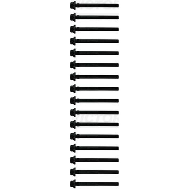 Victor Reinz Cylinder Head Bolt Set M11 14-10598-01