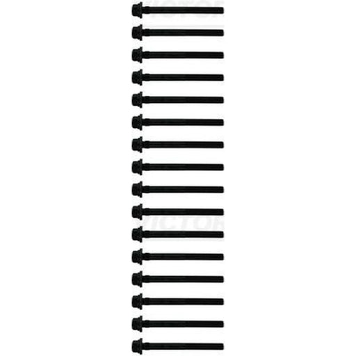 Victor Reinz Cylinder Head Bolt Set M11 14-10598-01