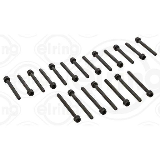 Elring Cylinder Head Bolt Set 057.290