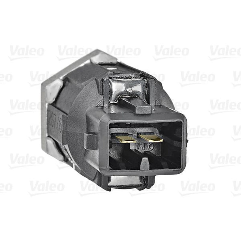 Valeo Engine Knock Sensor 255400