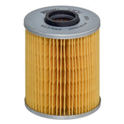 Hengst Engine Oil Filter E110H D24