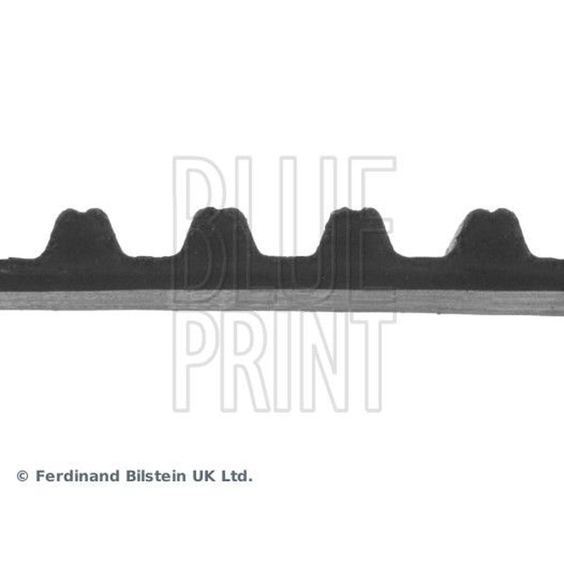 Blue Print Timing Belt Cambelt 112 Teeth ADH27534