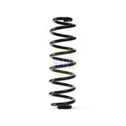 NAPA Rear Suspension Coil Spring NCS1729