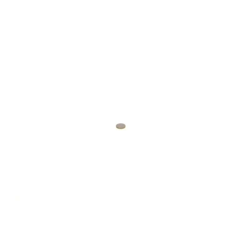 Bosch Flat Washer Shim ID OD 1 410 067 145