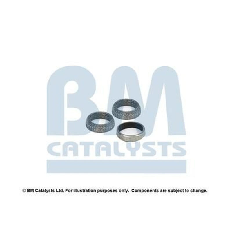 BM Catalysts Fitting Kit FK90516A FK90516A