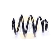 NAPA Rear Suspension Coil Spring NCS2204