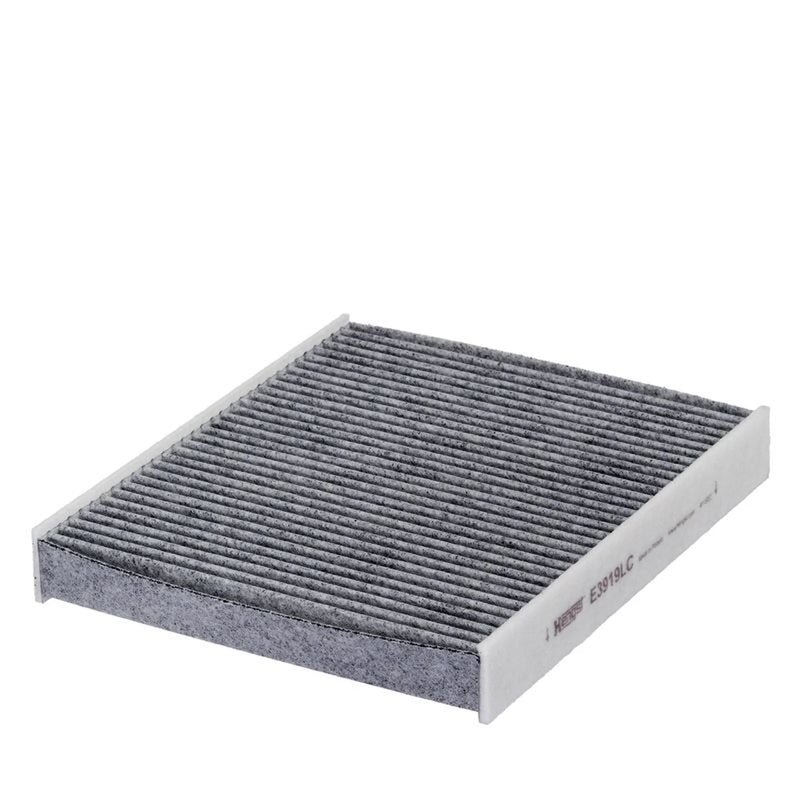Hengst Cabin Air Filter (Pollen Filter) E3919LC