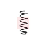 Apec Front Suspension Coil Spring ACS1630