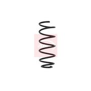 Apec Front Suspension Coil Spring ACS1630