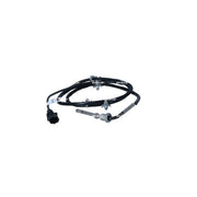 NRF Exhaust Gas Temperature Sensor before soot particulate f 707295