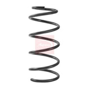 Apec 2 x Suspension Springs ACS2491