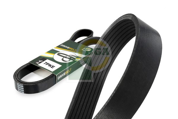 BGA Multi V-Ribbed Drive Belt
