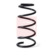 Apec Front Suspension Coil Spring ACS2168