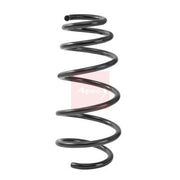 Apec Front Suspension Coil Spring ACS2479